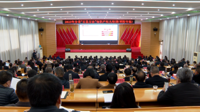 V视 | 2023年全省“百县万企”知识产权大培训（枣阳专场）举行