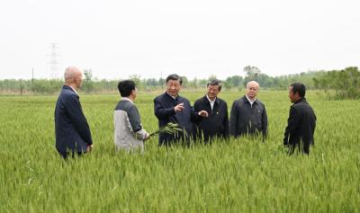 学习·知行丨跟着总书记学习调查研究  田间地头话发展，习近平总书记一以贯之的调研方法