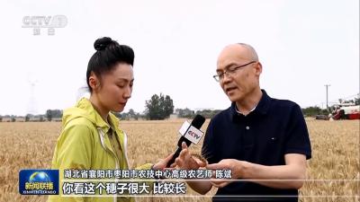 V视 | 央视《新闻联播》报道我市小麦开镰收割