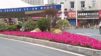 V视 | 市住建局：扮靓道路渠化岛 不断提升城市“颜值”与“内涵”