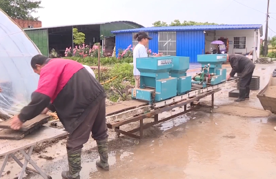 枣阳市琚湾镇：机械化育秧  水稻种植跑出“加速度”