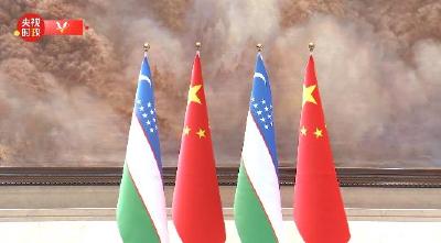 独家视频丨习近平：深化全方位合作 构建中乌命运共同体