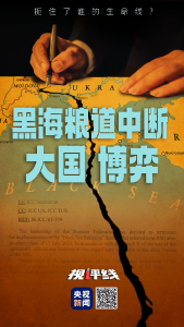 视评线丨黑海粮道中断 大国博弈，扼住了谁的生命线？