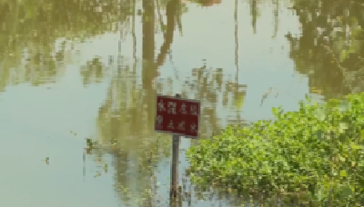 V视 | 王城镇中学扎实做好暑期防溺水安全宣传