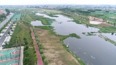 沙河湿地公园：休闲纳凉好去处