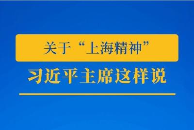 推动上合组织发展，习近平主席这样说