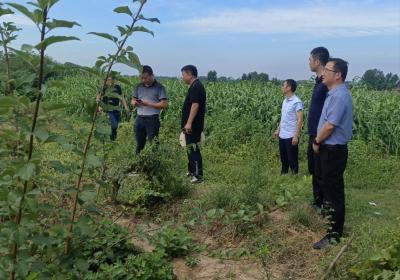 汛期雨水多 兴隆镇灾害防护服务送上门