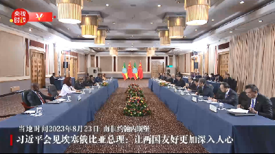 独家视频丨习近平会见埃塞俄比亚总理：让两国友好更加深入人心