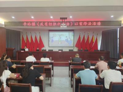 平林镇《反有组织犯罪法》集中宣传月在行动