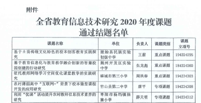 杨垱镇徐寨小学教研再创佳绩