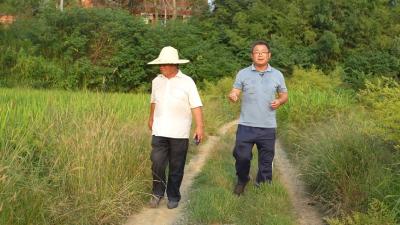 丰收季丨一家农场 两代粮王