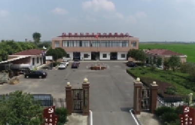 枣阳市杨垱镇桃园村：头雁引领聚合力，集体经济增效益