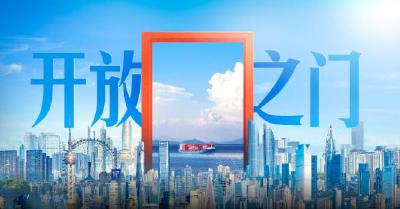 自贸试验区建设十周年丨开放之门