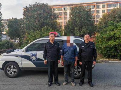 枣阳警方破获一起盗伐林木案