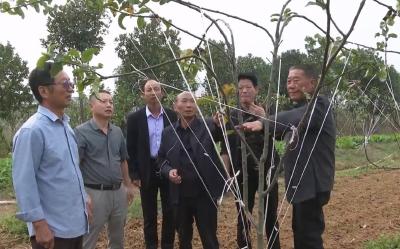 枣阳：让“科技之花”绽放在希望的田野上