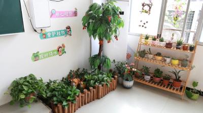 枣阳:装点角落之美  提升文化内涵