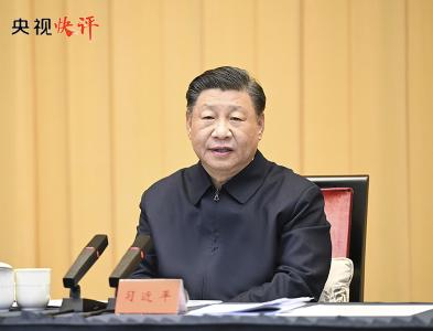 央视快评丨推动长三角一体化发展取得新的重大突破