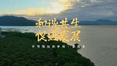 不可阻挡的步伐｜和谐共生促进发展