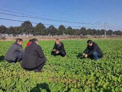 枣阳市平林镇科协开展田间管理培训