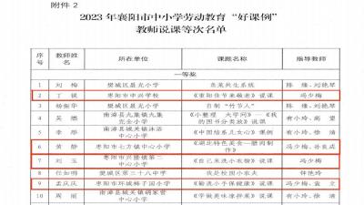 枣阳市在襄阳市中小学劳动教育作品评选中喜获佳绩