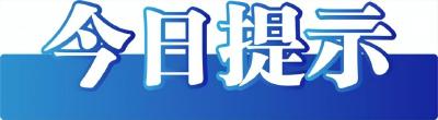 今日辟谣（2023年12月15日）