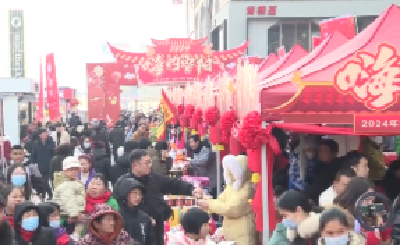 嗨购枣阳第二届电商年货节在万象城启动