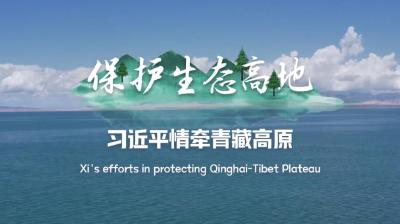 时政微视频丨保护生态高地——习近平情牵青藏高原