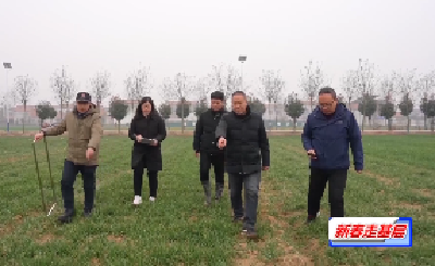 枣阳：把“麦”问诊的农情调查员