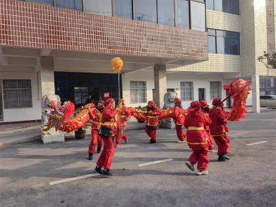 大年初一龙腾舞  民俗表演年味浓