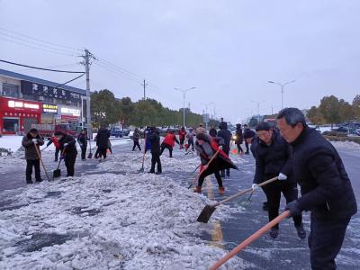 枣阳北城西园社区：乡贤助力铲雪护安全