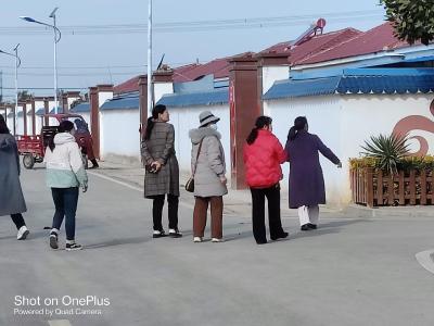 徐寨中学女教师感受文明村的幸福生活