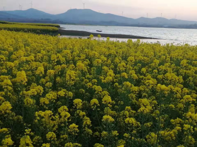 枣阳市平林镇：大力发展旅游经济  推动“三旅”融合发展 