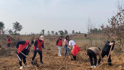 吴店镇组织开展义务植树活动