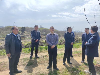 省应急管理厅到枣阳检查森林防灭火工作