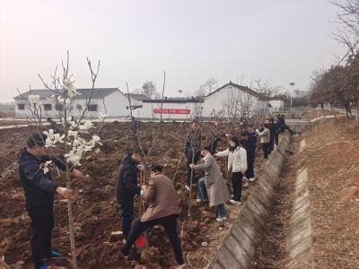 枣阳市委组织部机关干部开展义务植树活动
