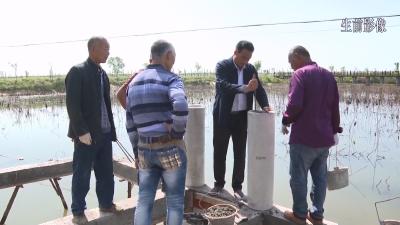 枣阳：王春红入选全省第九批岗位学雷锋标兵拟命名名单