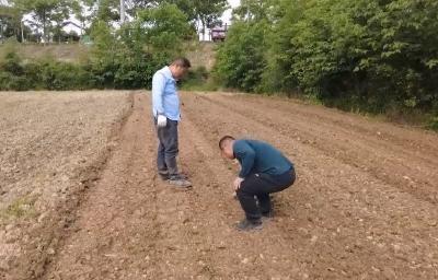 V视 | 垦荒种粮40年 父子接力做“粮王”