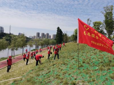 枣阳市50多名老兵护理沙河沿线环境