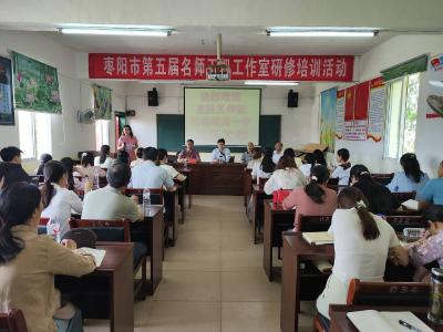 枣阳市第五届名师王凯工作室开展研修培训活动