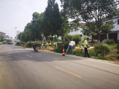清理遮挡视距树枝 消除交通安全隐患