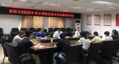 枣阳市财政局扎实做好乡镇财政基本信息报表编报工作
