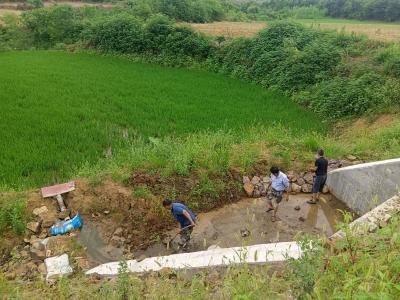 鹿头镇马冲村：干群齐心战防汛  清淤筑堤促安全