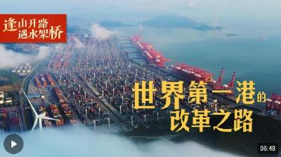 逢山开路 遇水架桥丨世界第一港的改革之路