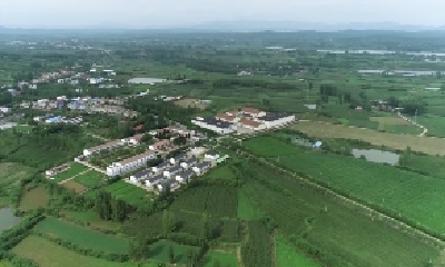 V视 | 刘升镇赵老湾村：抓实田间管理助力秋粮丰收