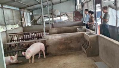 刘升镇开展夏季病媒生物防制专项行动