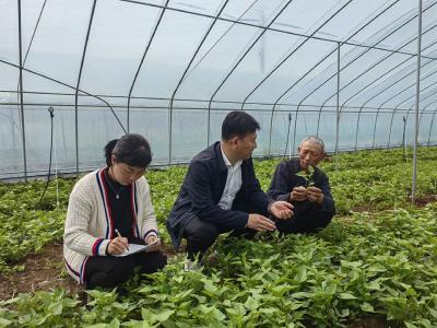 王城镇：精准监督村级小微权力 提升基层治理效能