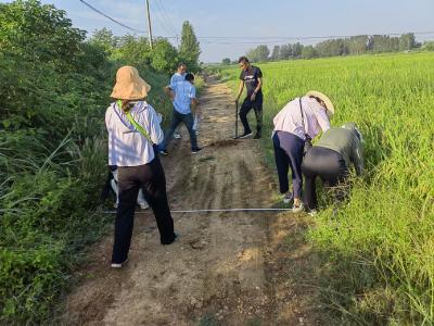 枣阳市审计局：“三认可”推进高标准农田建设项目审计