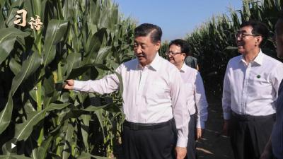 习语｜“农，天下之大业也”