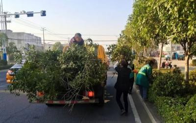 枣阳住建局：立足主职显担当  环境整治焕新颜