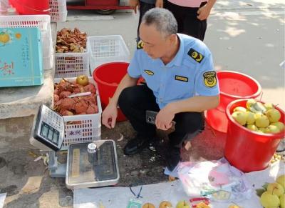 吴店镇市场监管所开展电子计价秤执法检查